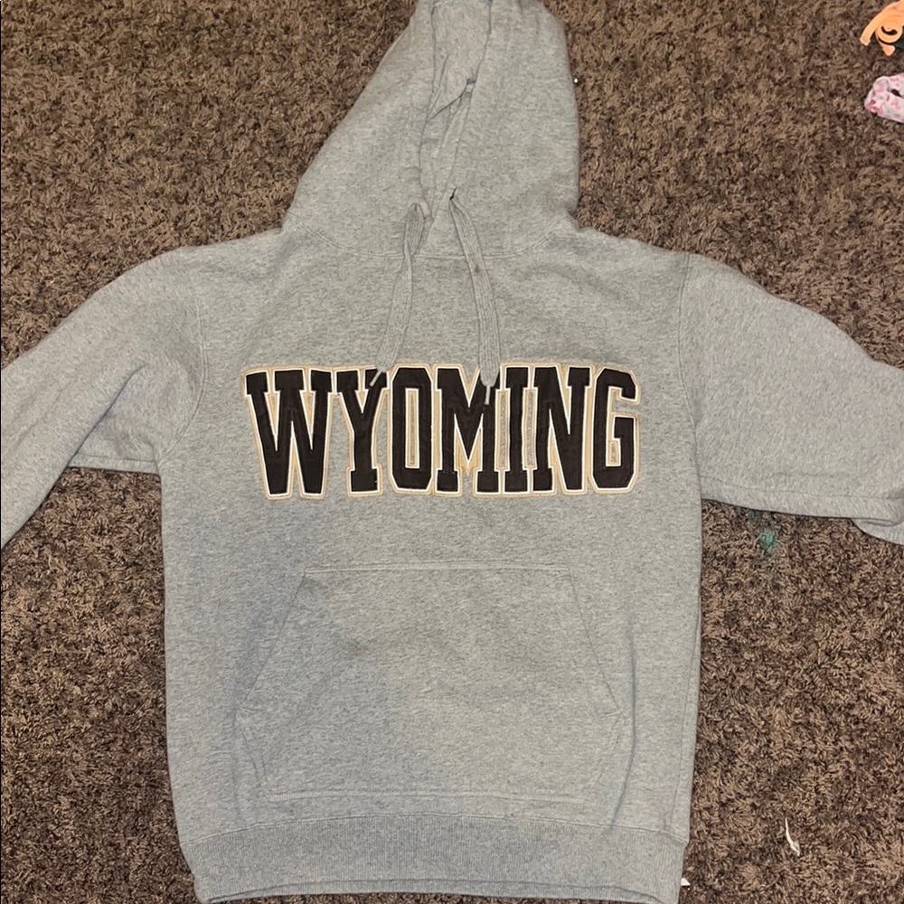 Wyoming Gray Hoodie - Picture 1 of 1